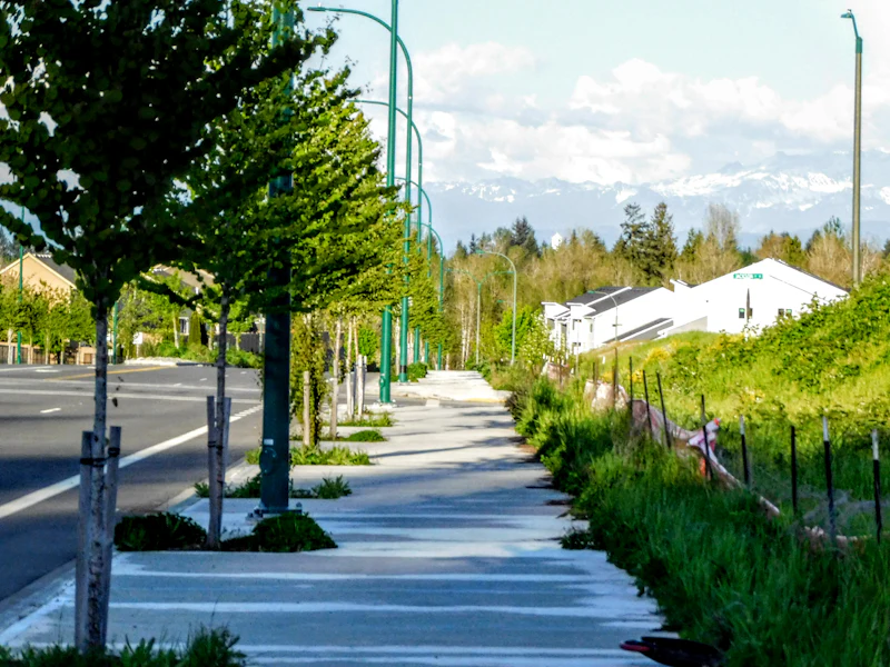 Long concrete sidewalk lined with young trees